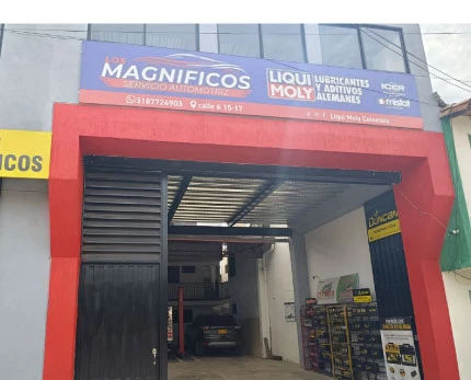 TALLER LOS MAGNIFICOS SOCORRO
